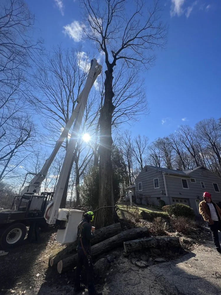 Professional outdoor landscaping in New York, NY - JCS Landscaping & Construction