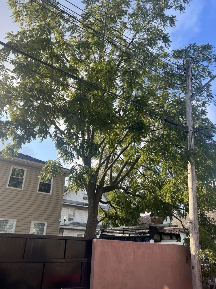 Custom lawn mowing service in New York, NY by JCS Landscaping & Construction