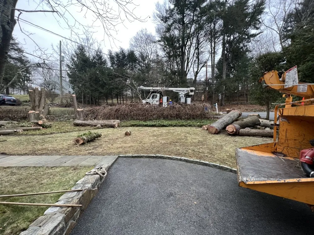 Expert garden landscaping for residential properties in New York, NY by JCS Landscaping & Construction