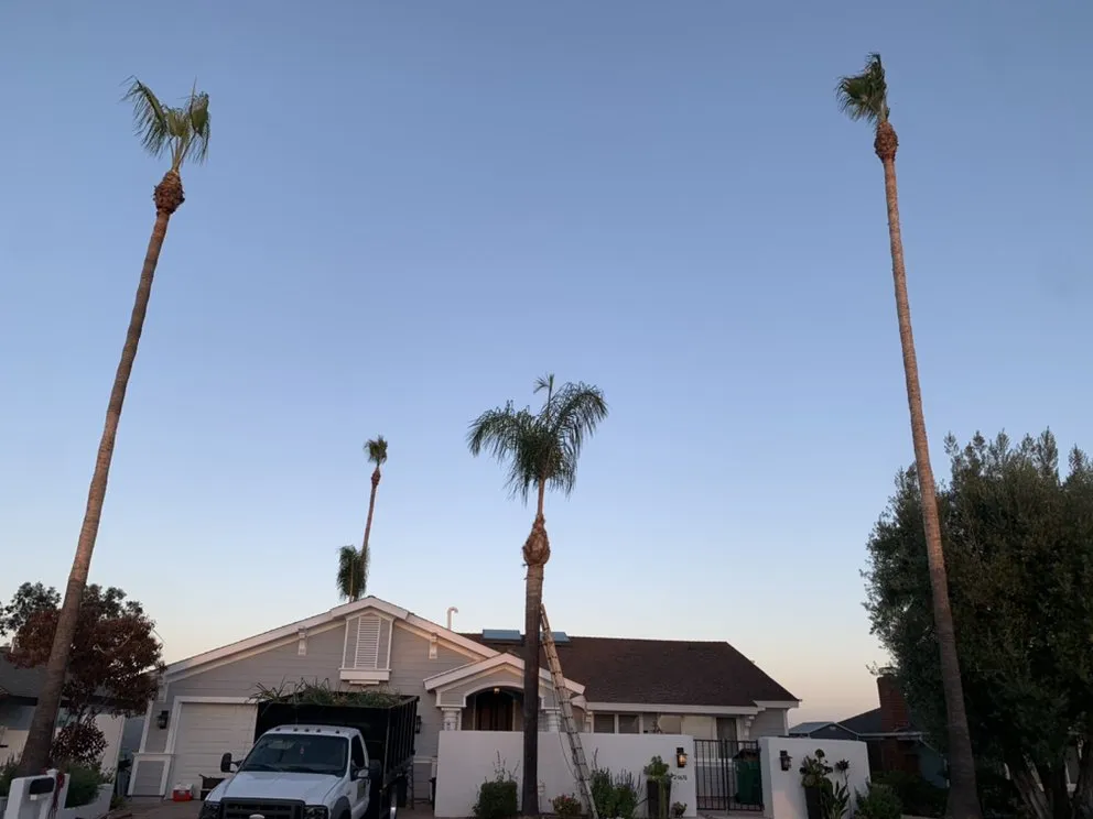 Custom yard maintenance in Santa Ana, CA by JC’s Landscaping And Tree Care