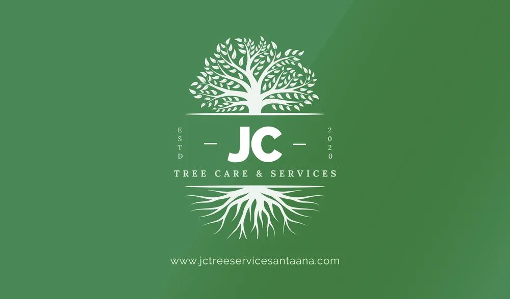 Affordable yard cleanup service for homes across Santa Ana, CA - JC’s Landscaping And Tree Care