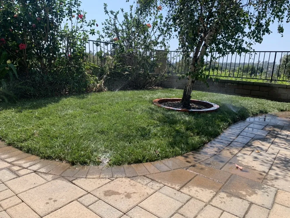 Reliable outdoor landscaping experts serving Santa Ana, CA - JC’s Landscaping And Tree Care