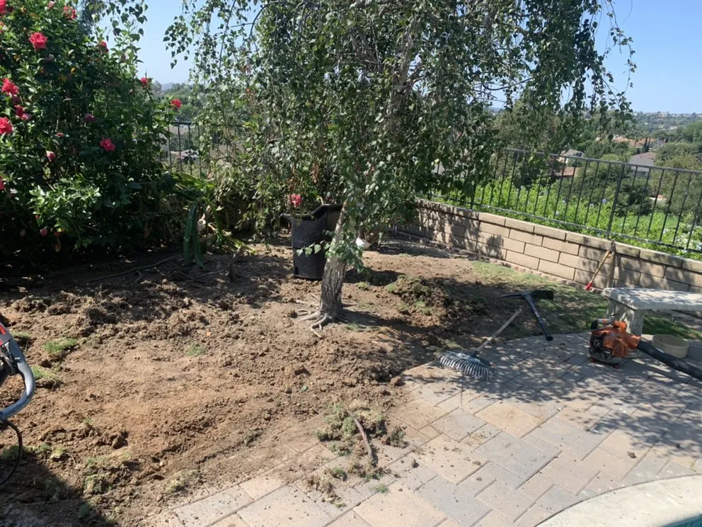 Affordable landscape design in Santa Ana, CA - JC’s Landscaping And Tree Care