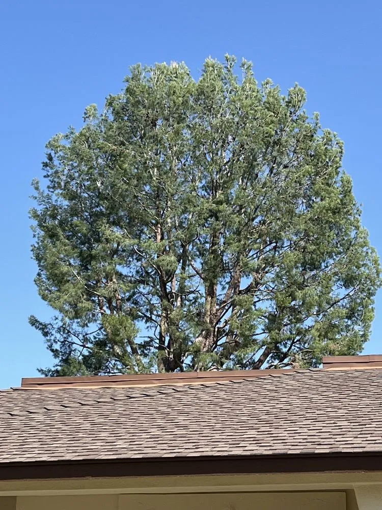 Trusted landscape design in Santa Ana, CA - JC’s Landscaping And Tree Care