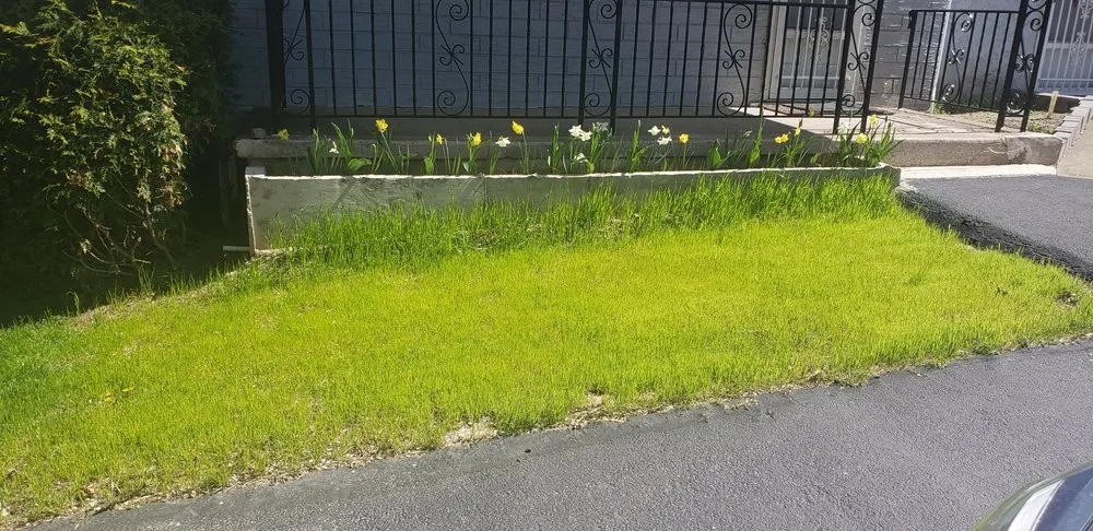 Top-rated landscaping services with custom design across Dalton, PA - JC's Landscaping