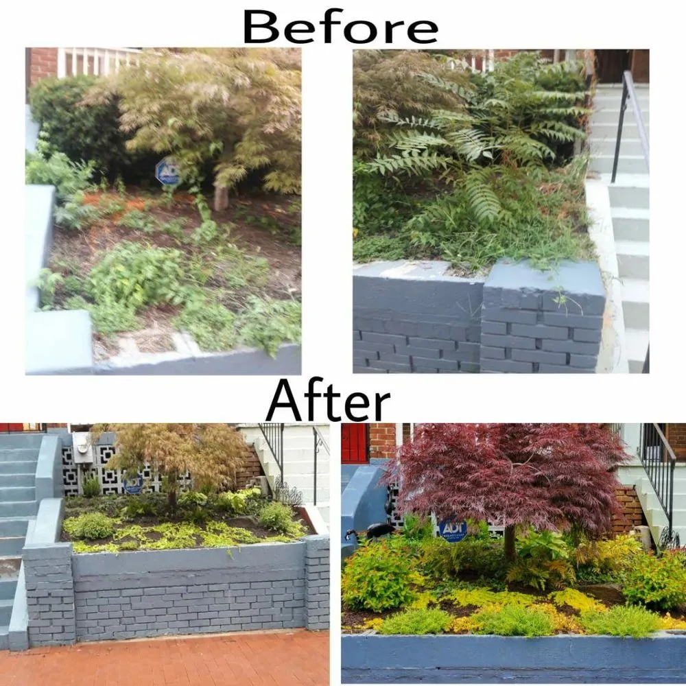 Reliable garden landscaping experts serving Frisco, TX - JC's Landscaping