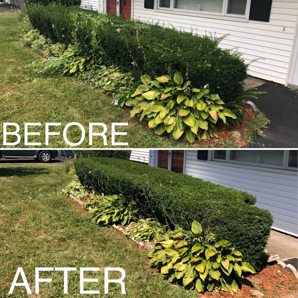 Reliable landscape installation in Greece, NY - J&C's Landscaping