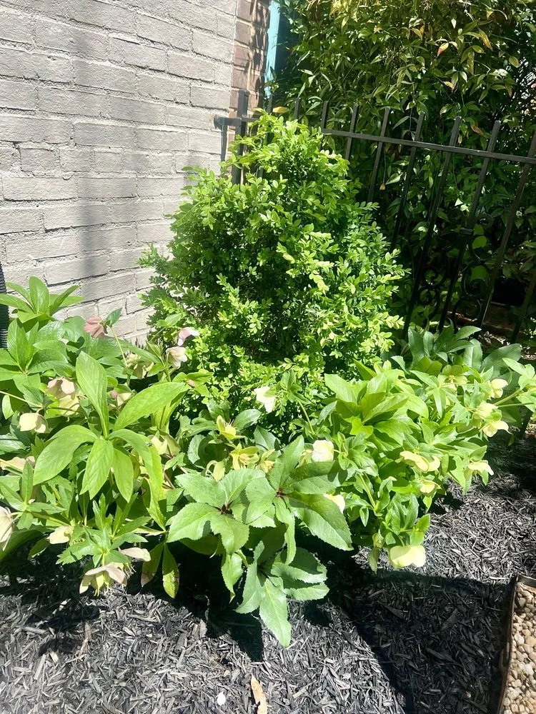 Reliable landscape design in Lanham, MD by JC's Landscaping