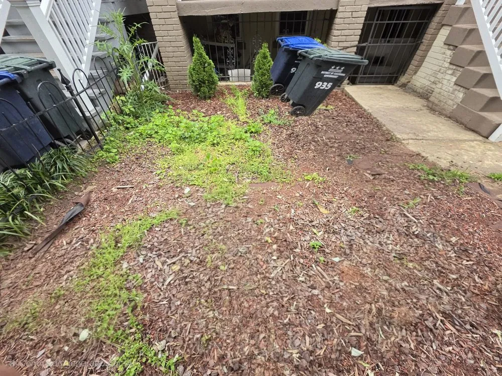 Expert yard cleanup service in Lanham, MD - JC's Landscaping