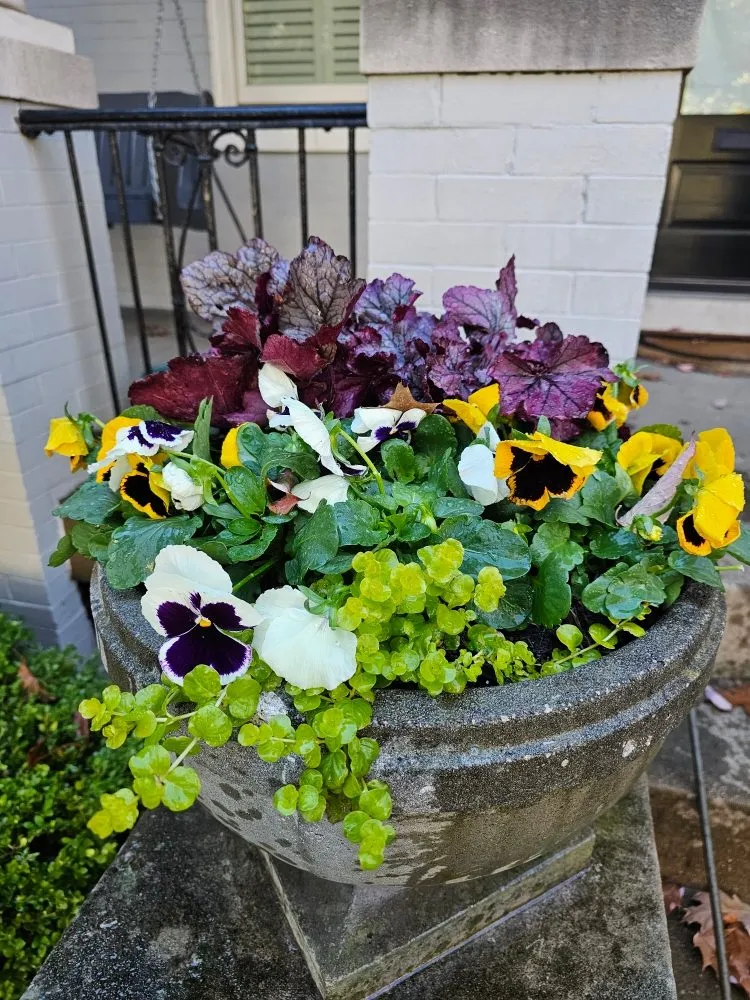 Top-rated outdoor landscaping in Lanham, MD by JC's Landscaping