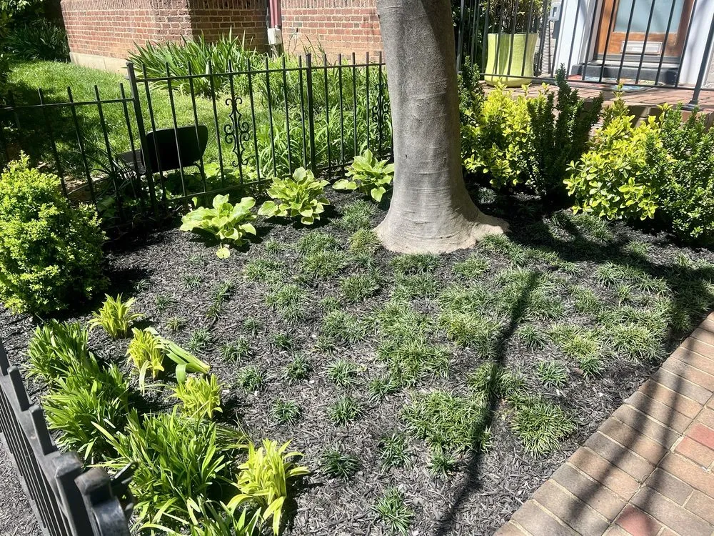 Trusted garden landscaping near you across Lanham, MD - JC's Landscaping