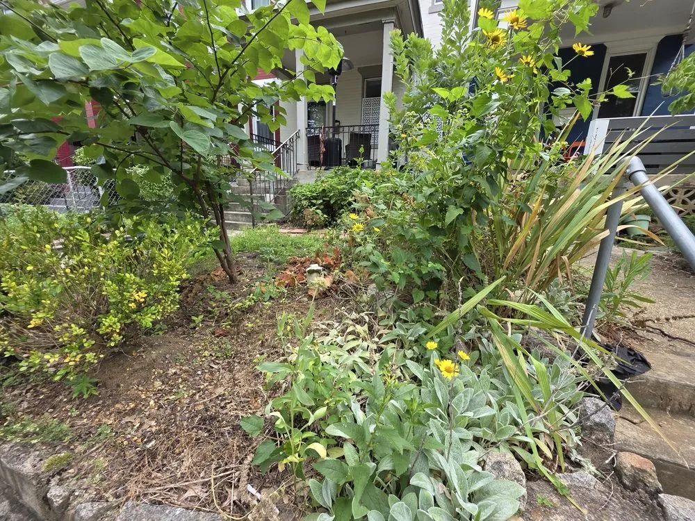 Custom lawn mowing service for homes across Lanham, MD - JC's Landscaping