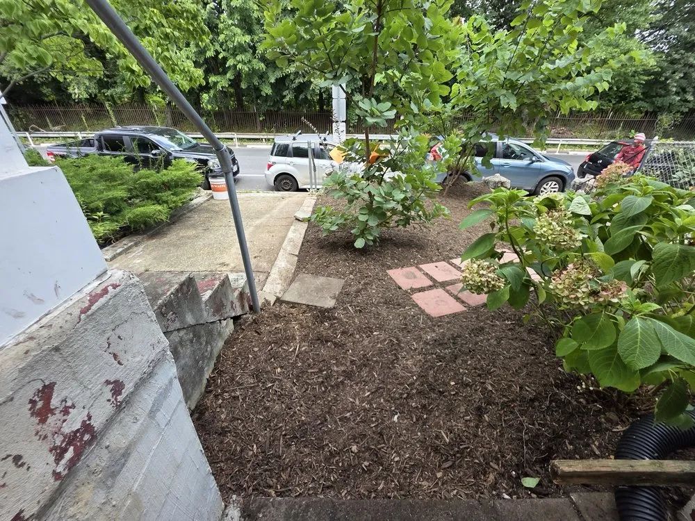 Affordable yard maintenance in Lanham, MD by JC's Landscaping