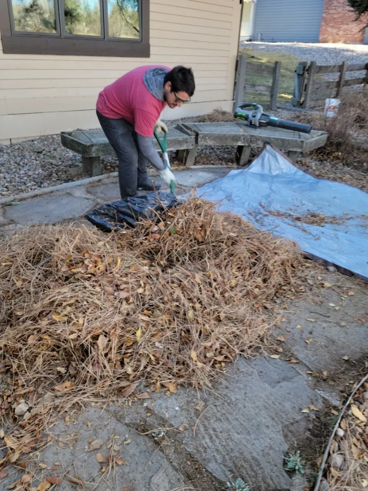 Top-rated lawn mowing service with custom design across Littleton, CO - jc's landscaping