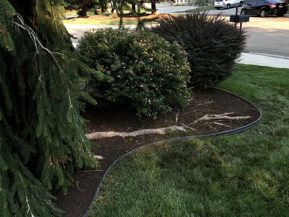 Affordable lawn mowing service for beautiful yards across Meridian, ID - JCS Landscaping