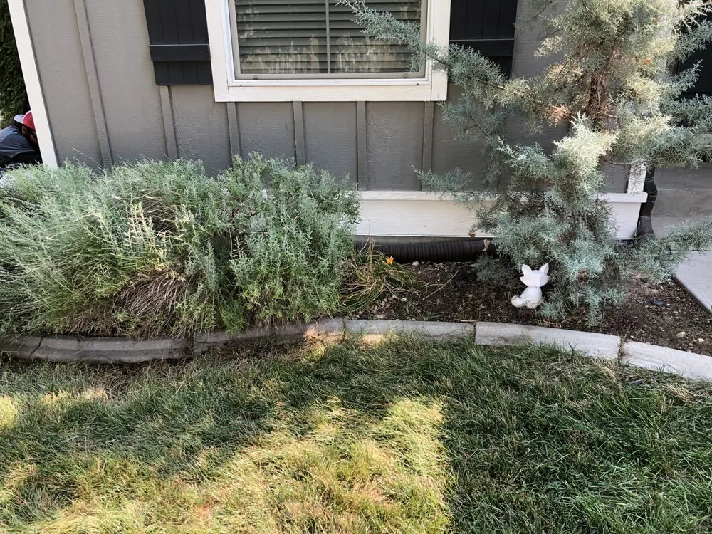 Top-rated yard maintenance experts serving Meridian, ID - JCS Landscaping