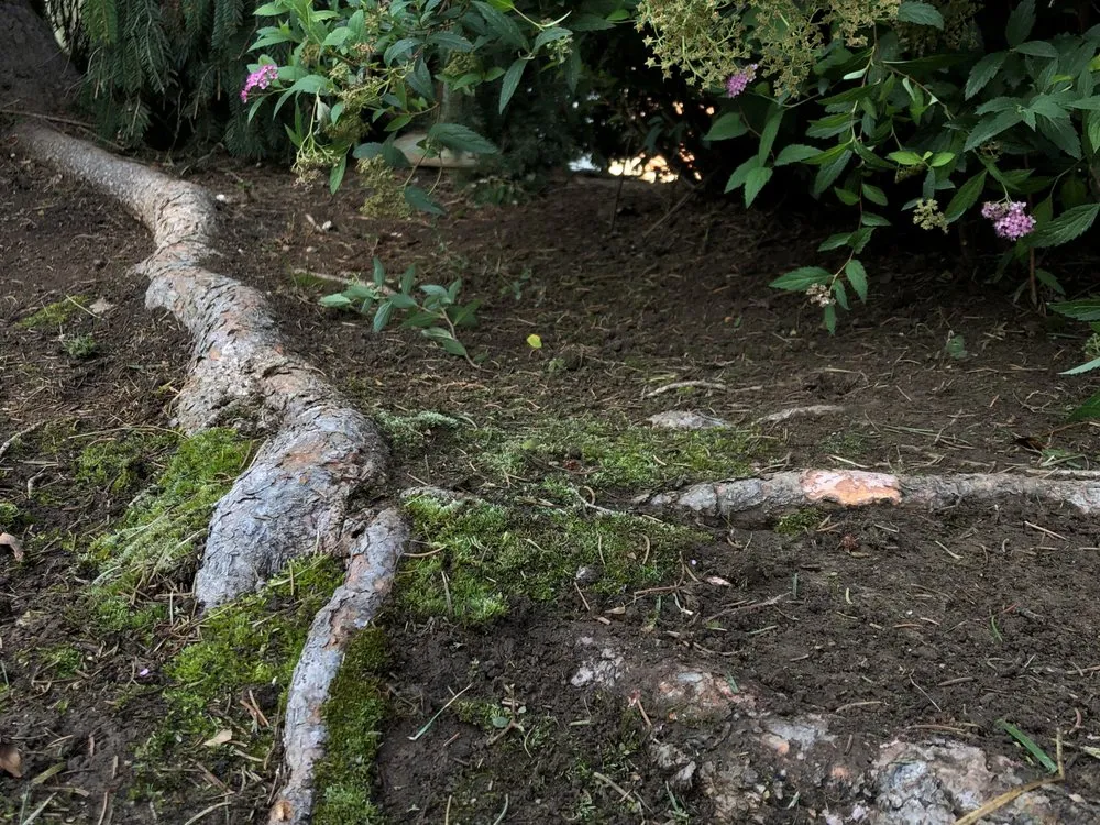 Local landscape installation experts serving Meridian, ID - JCS Landscaping