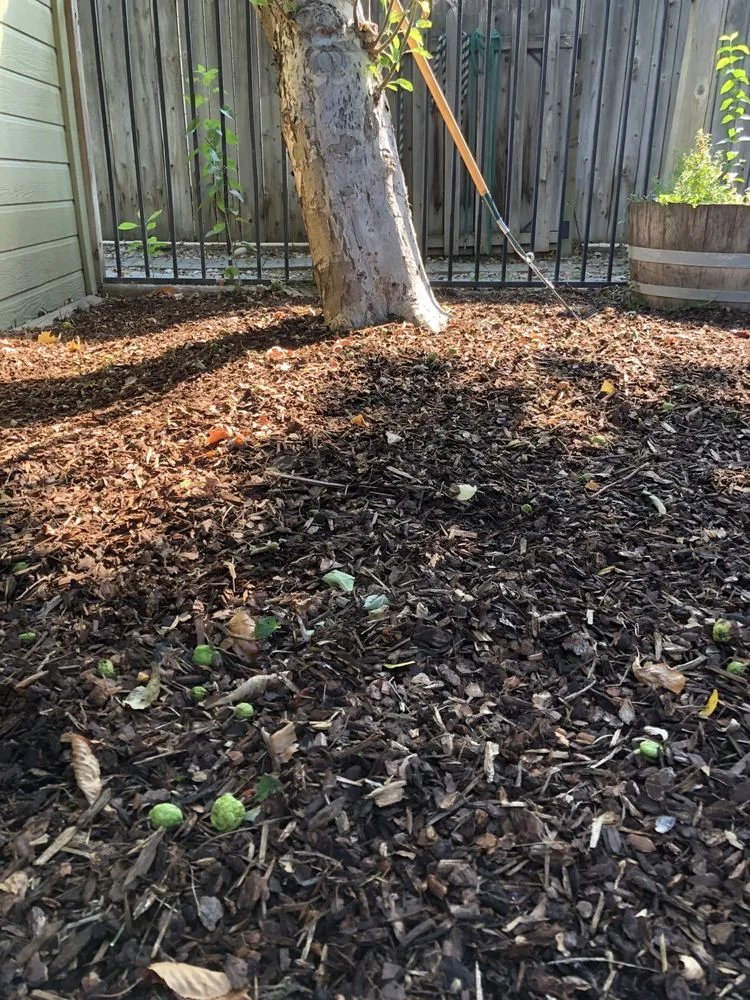 Custom garden landscaping for year-round maintenance in Meridian, ID by JCS Landscaping