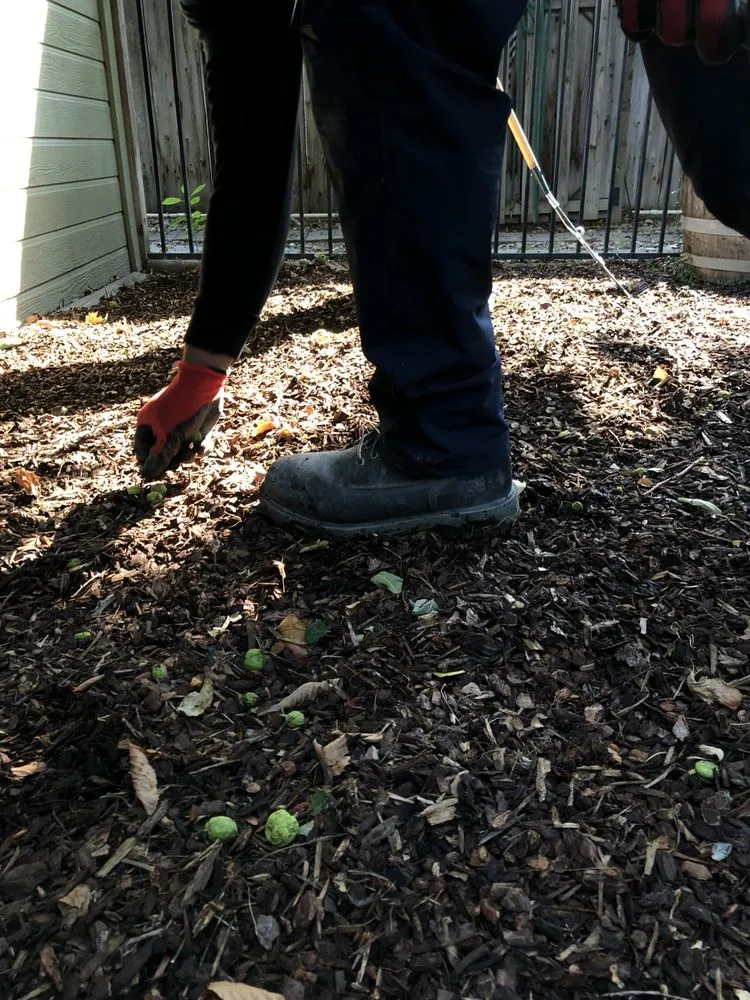 Reliable residential landscaping experts serving Meridian, ID - JCS Landscaping