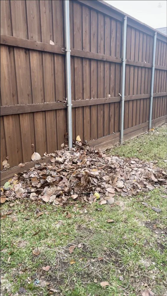 Trusted yard maintenance experts serving Plano, TX - JC's Landscaping