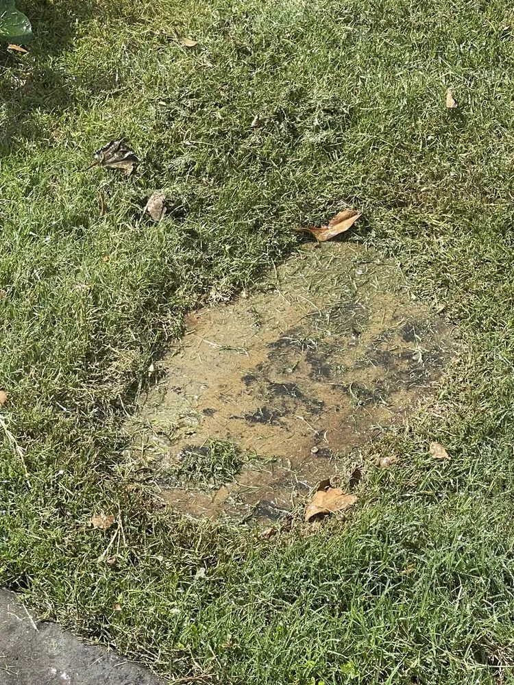 Affordable landscape installation experts serving Plano, TX - JC's Landscaping