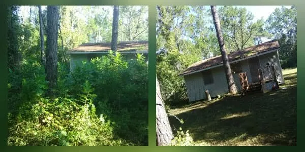 Professional lawn mowing service for outdoor upgrades in Welaka, FL by Jc's Lawn & Tree Service
