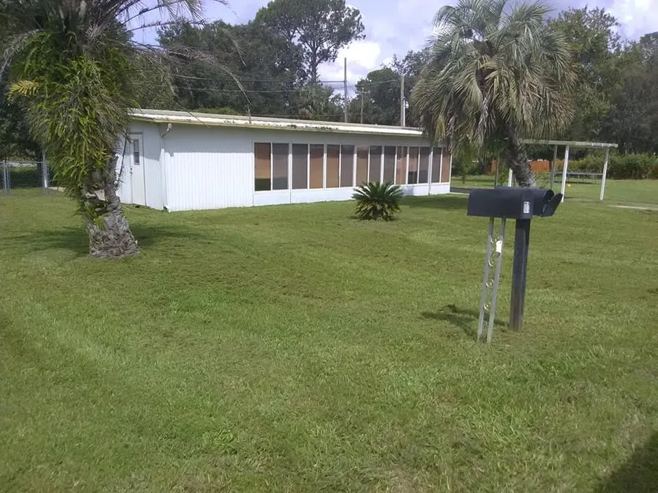 Local yard cleanup service in Welaka, FL by Jc's Lawn & Tree Service