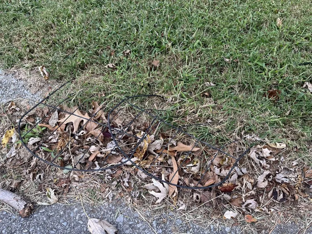 Professional outdoor landscaping for year-round maintenance across Old Hickory, TN - JC's Lawn Care & Tree Service
