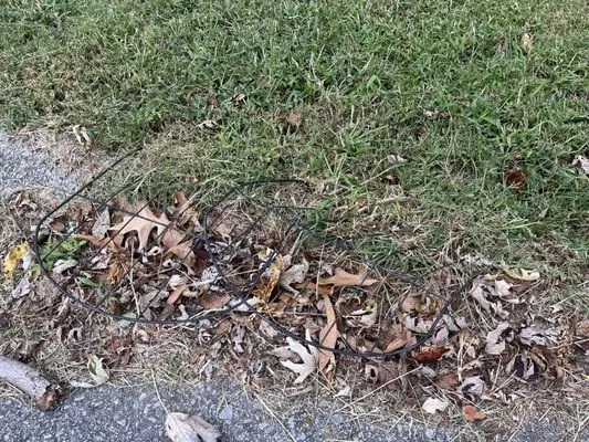 JC's Lawn Care & Tree Service Logo