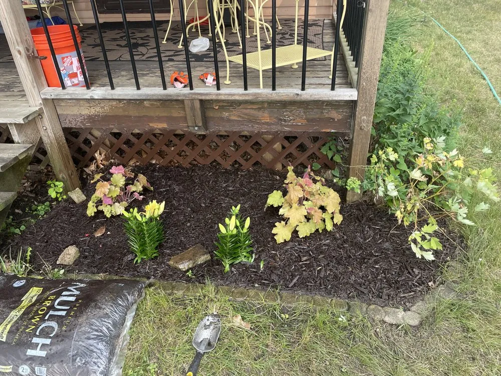 Expert yard cleanup service in Chelsea, MI - Jc’s lawn care and landscape