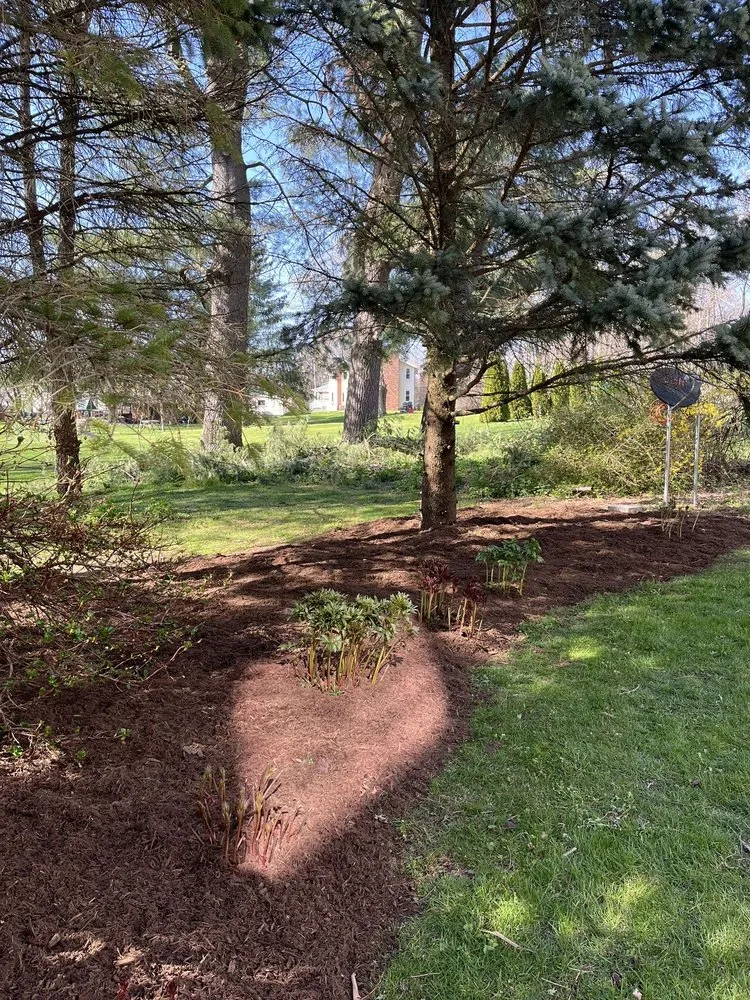 Top-rated lawn care service near you across Chelsea, MI - Jc’s lawn care and landscape