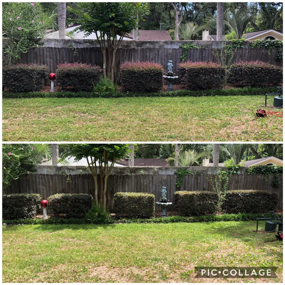 Affordable landscaping services with custom design in Brunswick, GA by JC’s Lawn Care