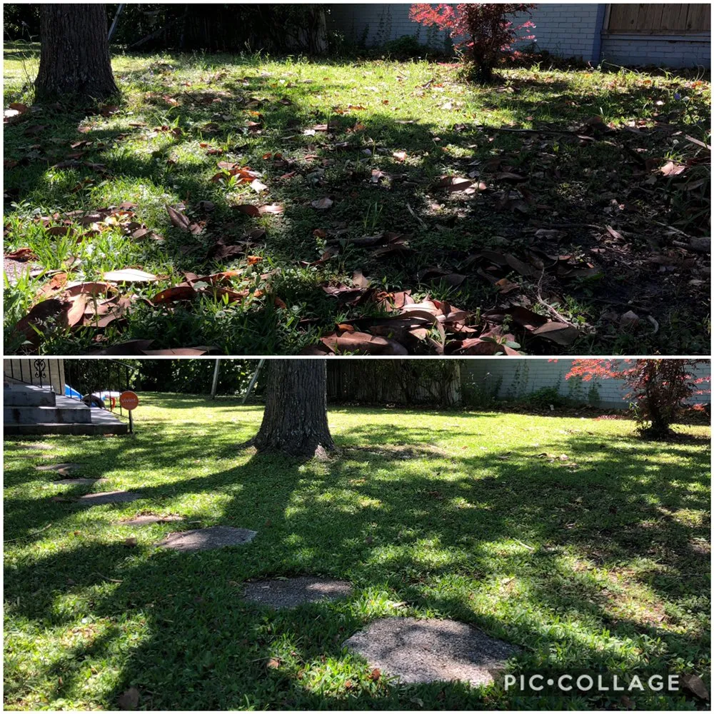 Local yard maintenance for beautiful yards across Brunswick, GA - JC’s Lawn Care