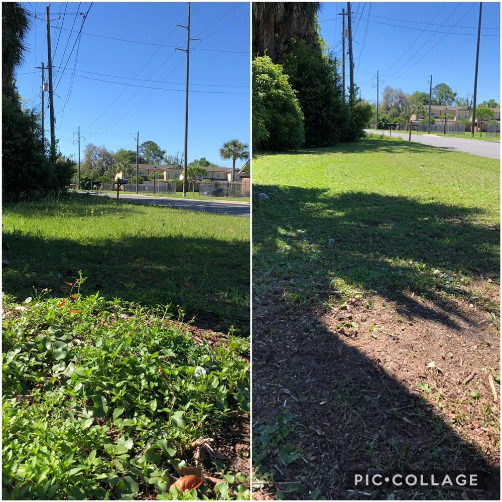Affordable lawn care service in Brunswick, GA by JC’s Lawn Care