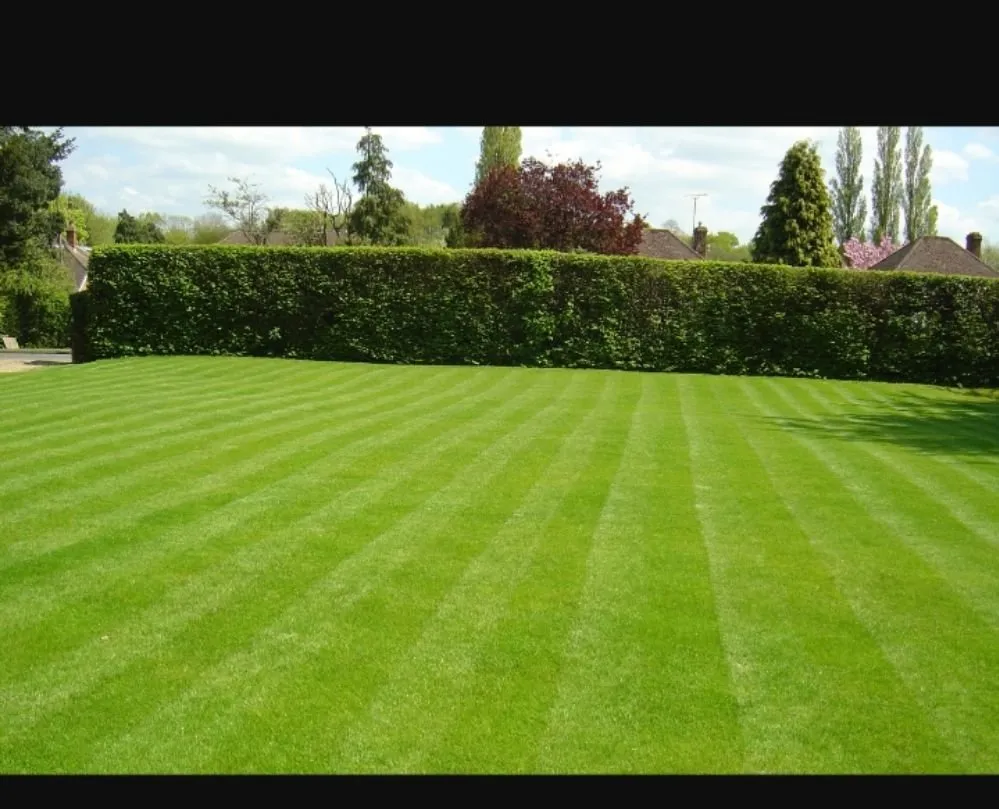 Local yard maintenance experts serving Hamilton, OH - JCS Lawn Care