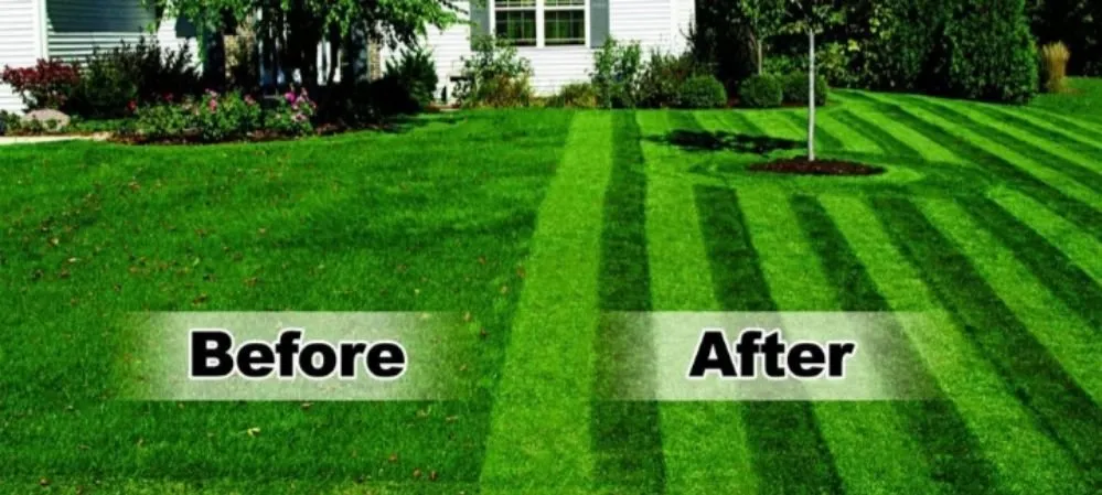 Reliable yard cleanup service experts serving Hamilton, OH - JCS Lawn Care