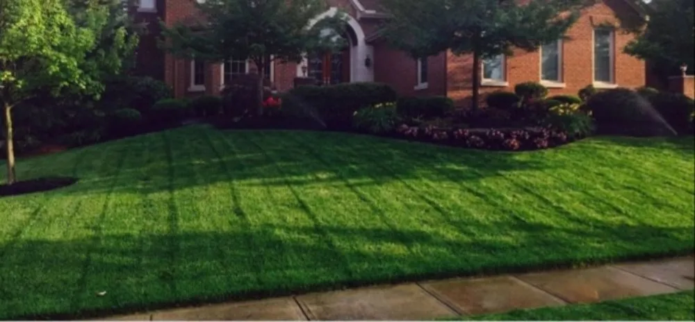 Local yard cleanup service in Hamilton, OH - JCS Lawn Care