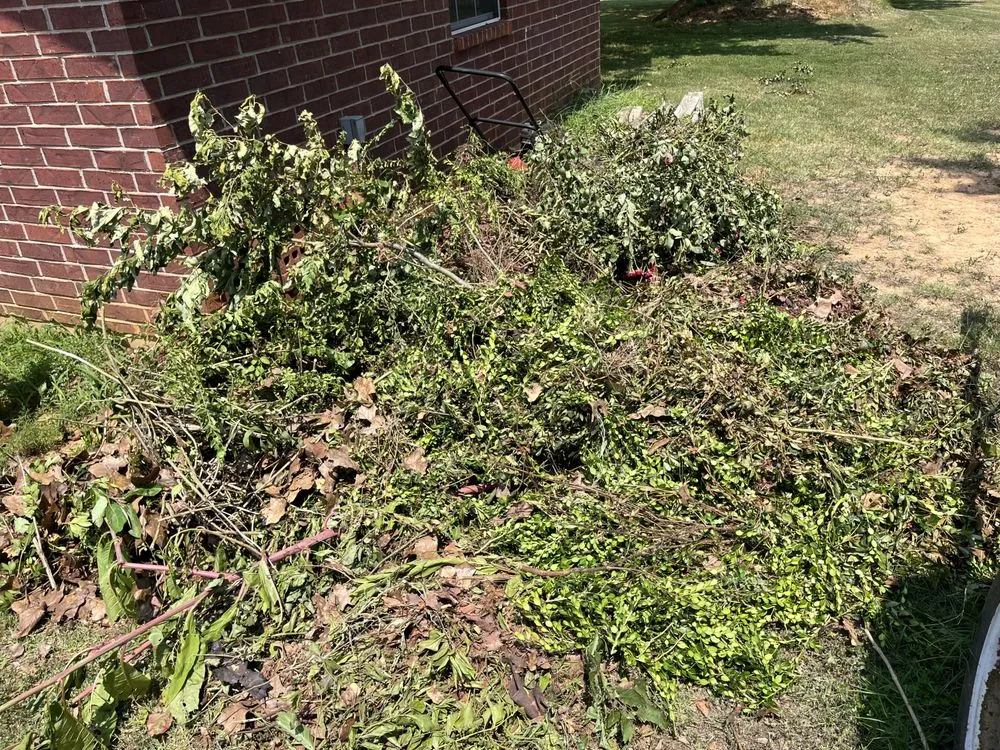 Reliable landscape design experts serving Russellville, AR - JC’s Lawn Care