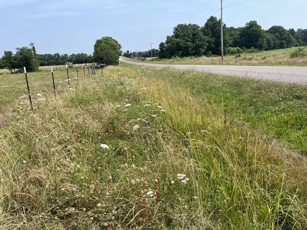 Top-rated landscaping services for year-round maintenance across Russellville, AR - JC’s Lawn Care