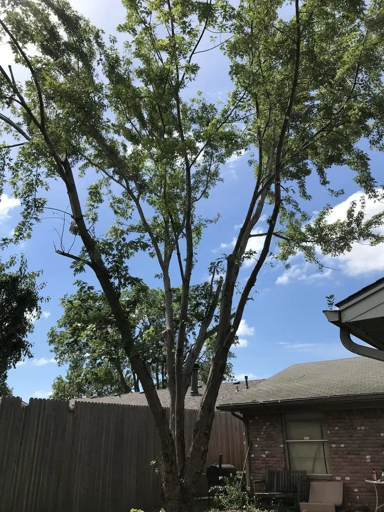 Trusted lawn care service in Tulsa, OK - JC'S Lawn Care Service