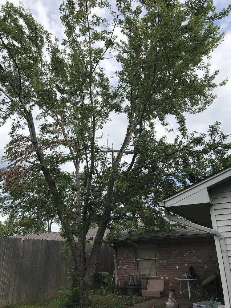 Top-rated lawn mowing service for beautiful yards across Tulsa, OK - JC'S Lawn Care Service