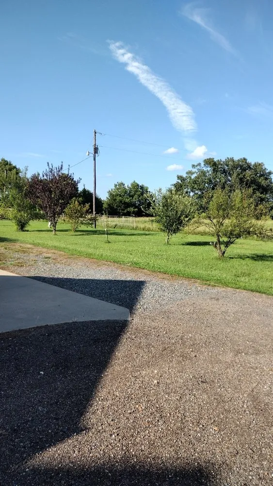 Professional lawn mowing service in Daingerfield, TX by Jc's Lawn Services