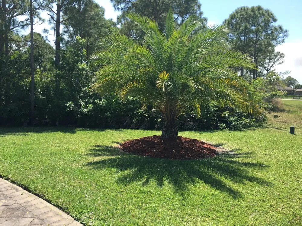 Top-rated residential landscaping in Palm Bay, FL by JC's Lawncare & Landscaping