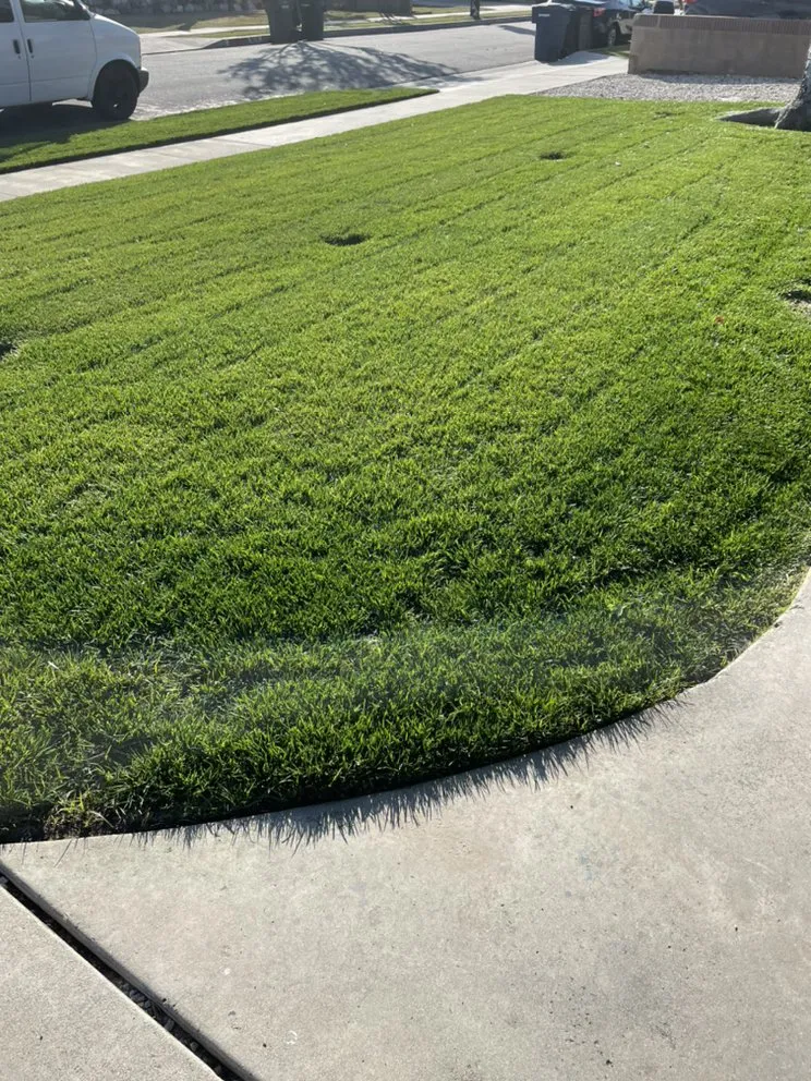 Professional outdoor landscaping experts serving Pico Rivera, CA - JC’s Maintenance