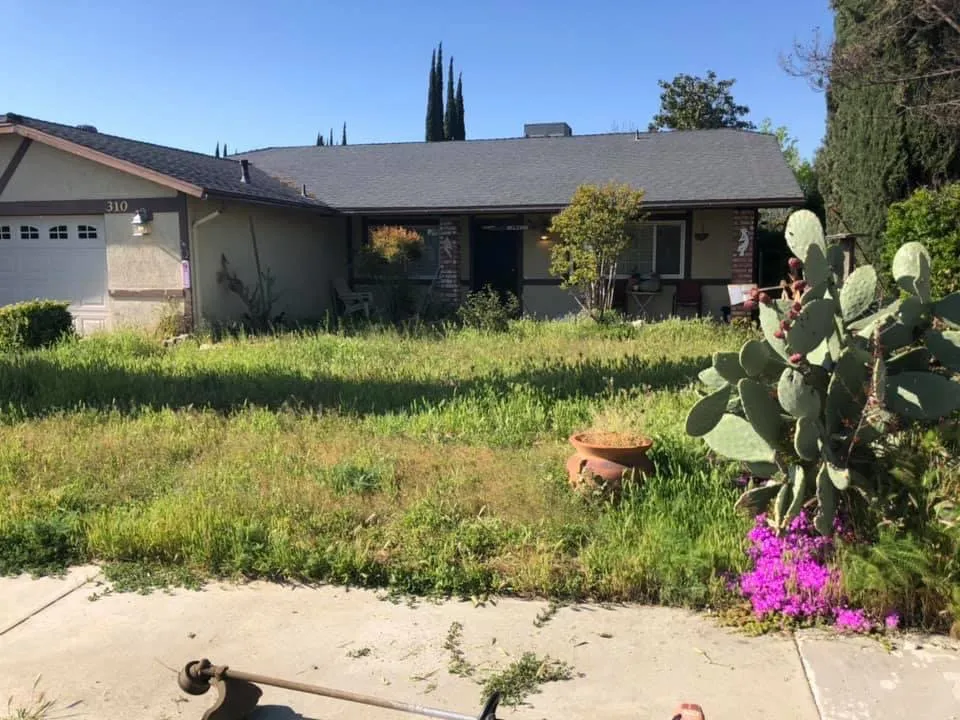 Reliable lawn care service near you in Pico Rivera, CA by JC’s Maintenance