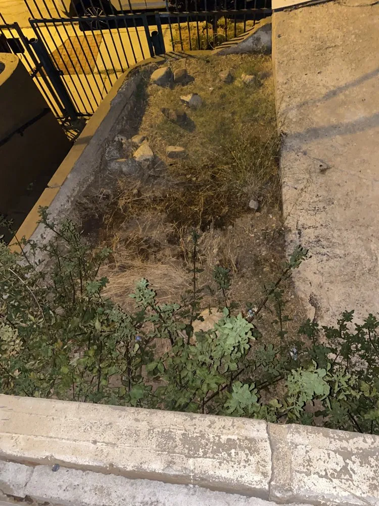 Top-rated garden landscaping in Pico Rivera, CA - JC’s Maintenance