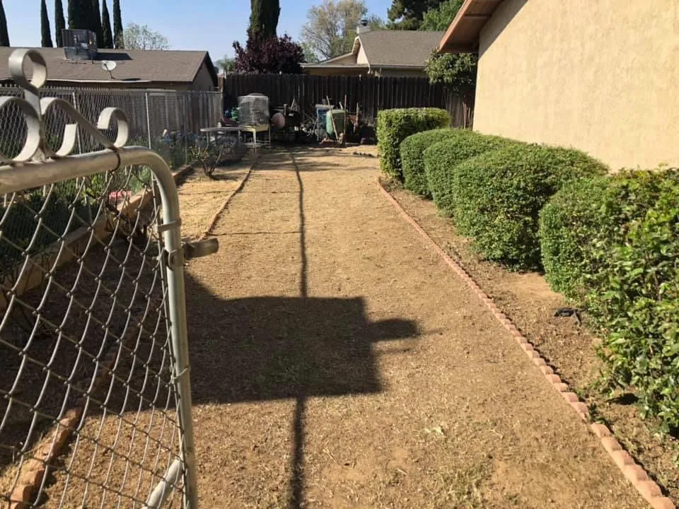 Professional lawn mowing service experts serving Pico Rivera, CA - JC’s Maintenance