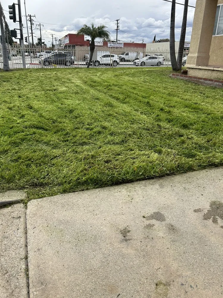 Top-rated lawn mowing service in Pico Rivera, CA - JC’s Maintenance