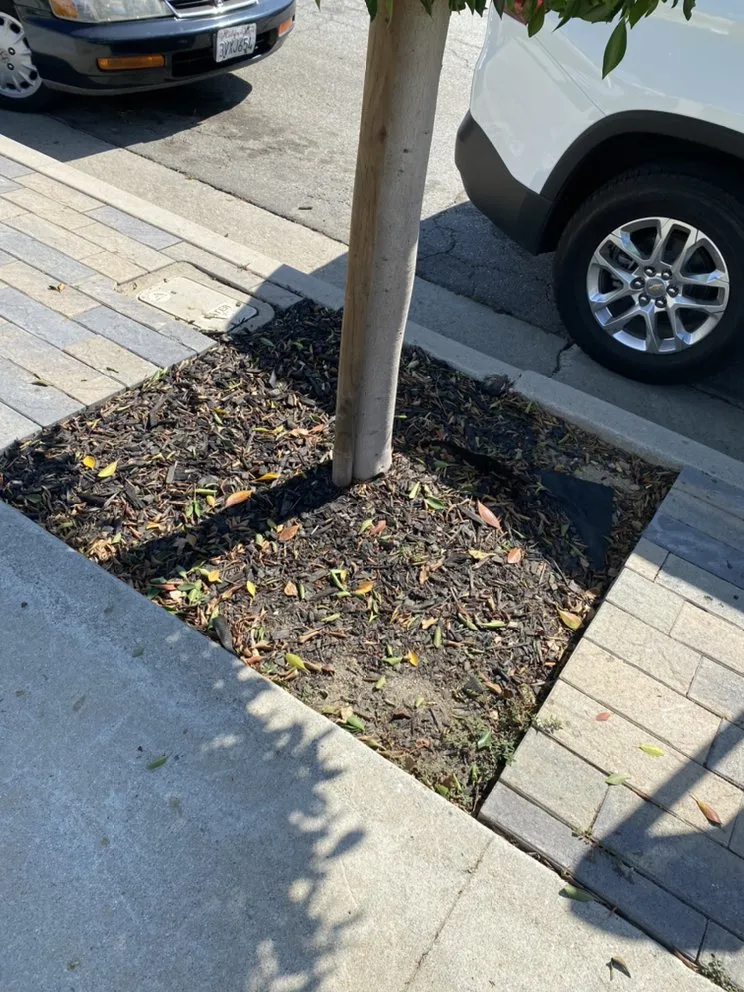 Custom landscape installation experts serving Pico Rivera, CA - JC’s Maintenance