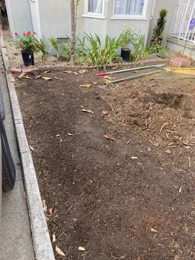 Affordable landscaping services near you in Pico Rivera, CA by JC’s Maintenance